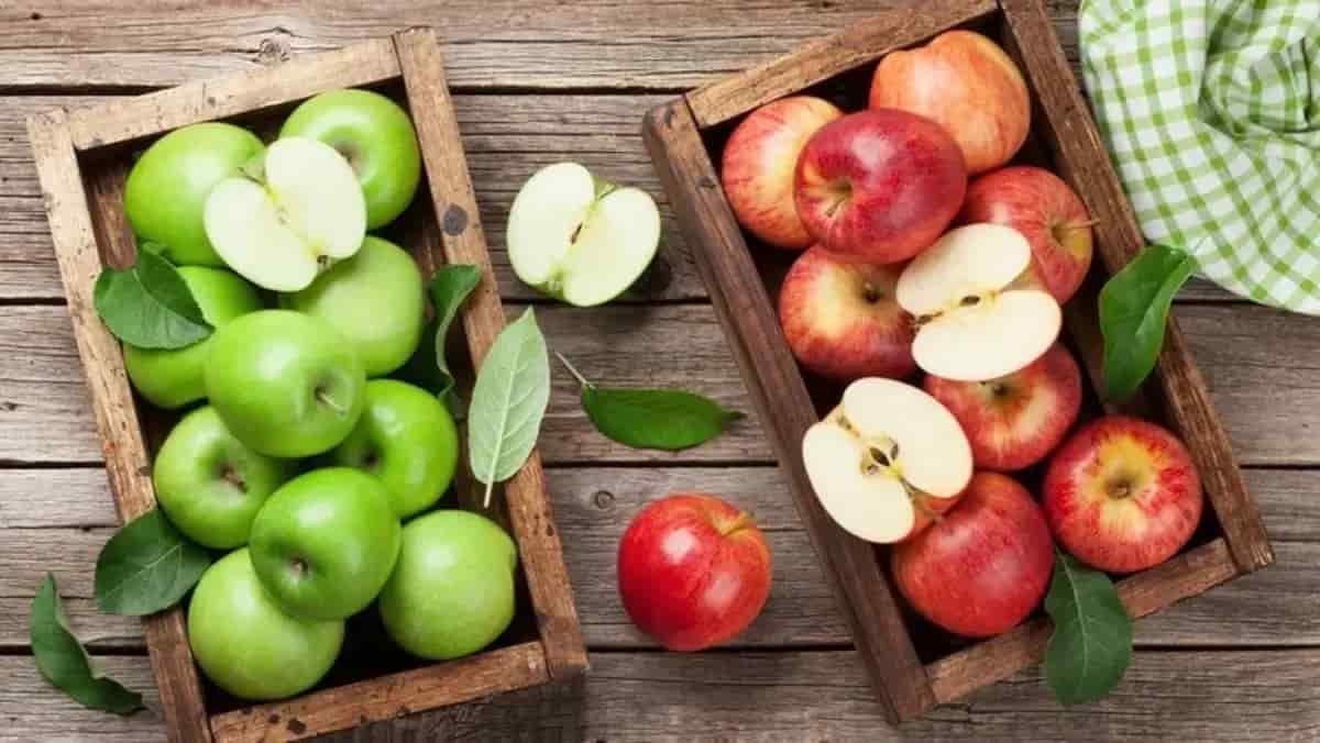 تصویر 1 از خرید سیب درختی + فروش ویژه